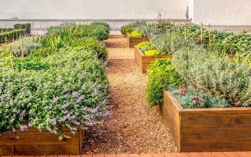 Raised Beds in Your Herb Garden