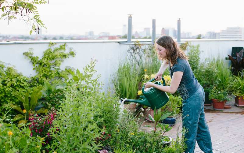 Eco Friendly Ideas for a Roof Garden