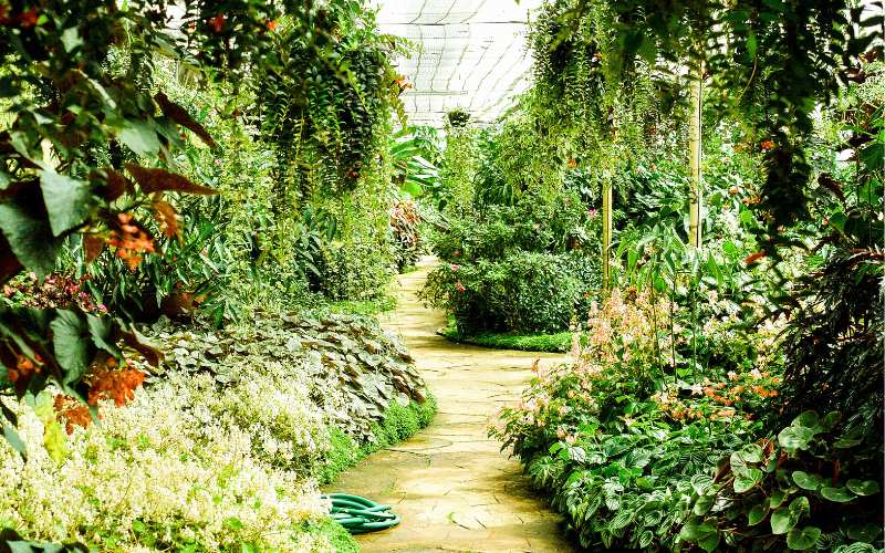 Plants For Garden Pathway