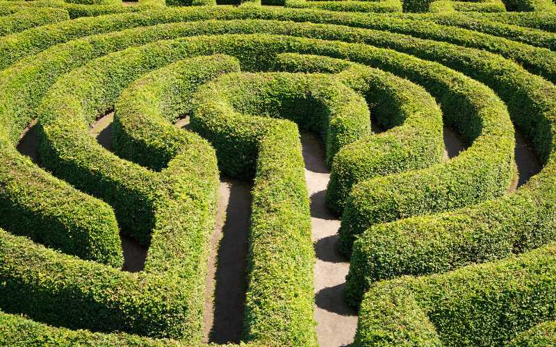 Garden Maze or Labyrinth