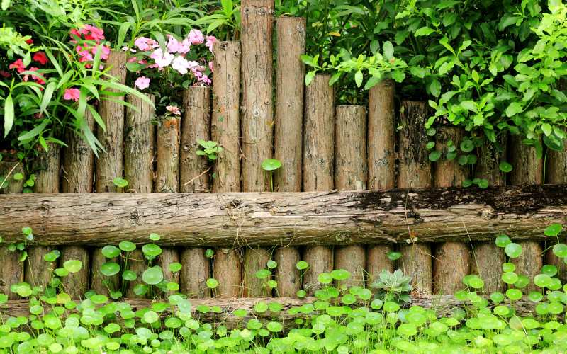 Walls And Fences In Garden 
