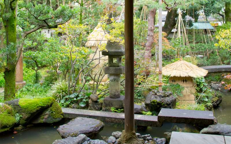 Minimalist Zen Garden 