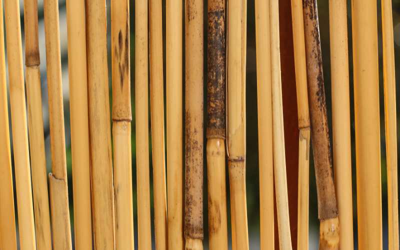 Bamboo Screens for a Natural Garden Boundary