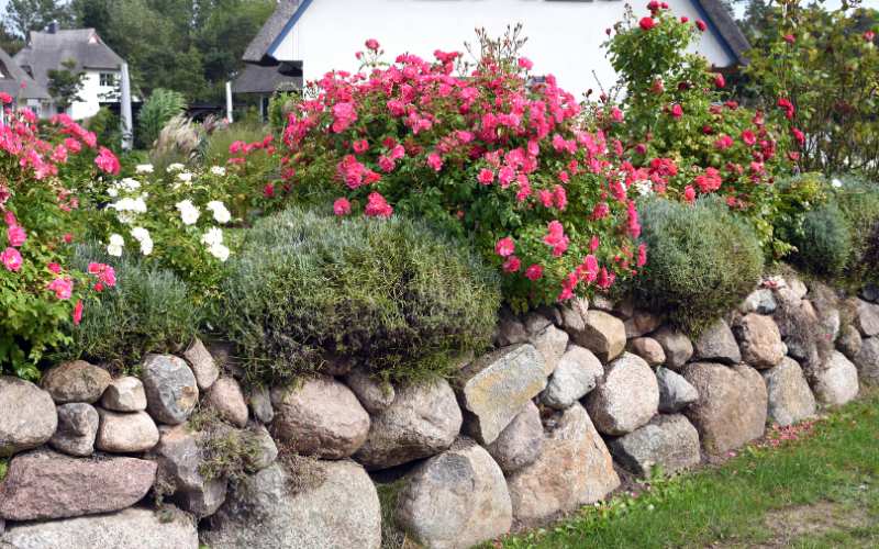 Stone Walls as Garden Boundaries