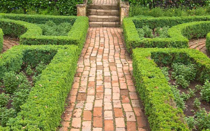 Pathways in formal garden