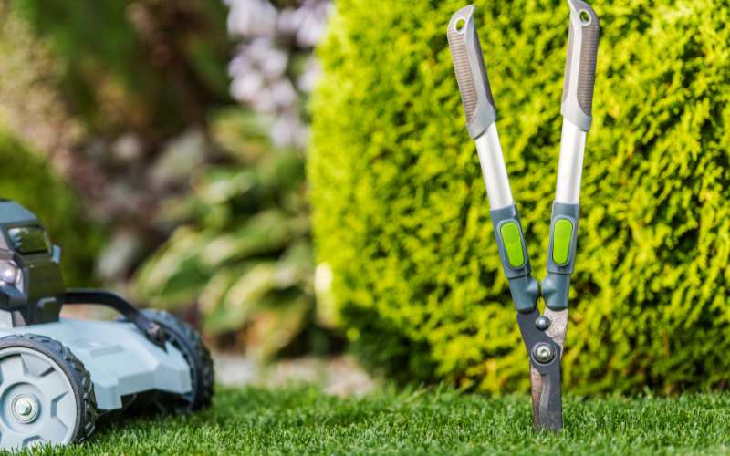 Tools for garden 