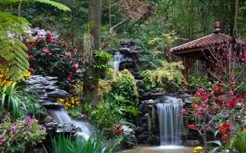 Water Features in Tropical Settings