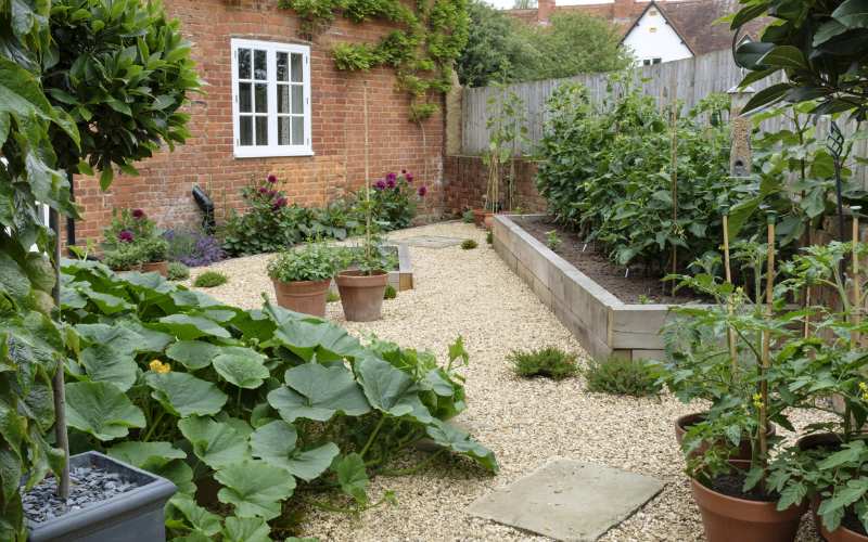 Best Kitchen Garden Design Ideas