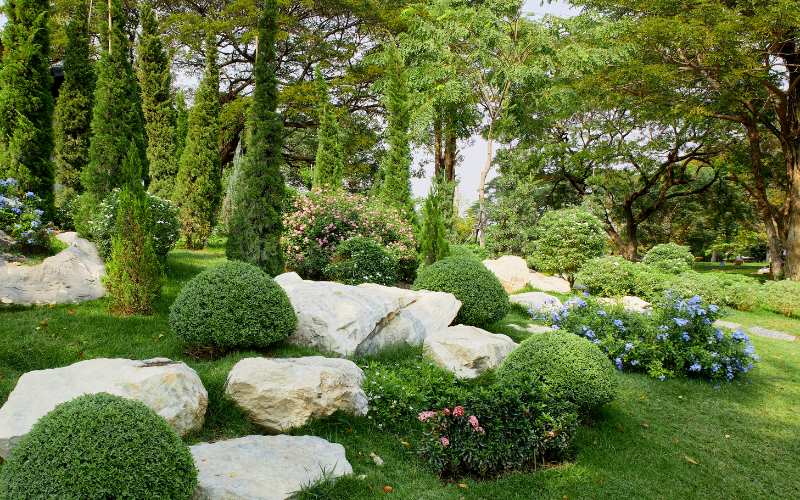 Designing Your Rock Garden