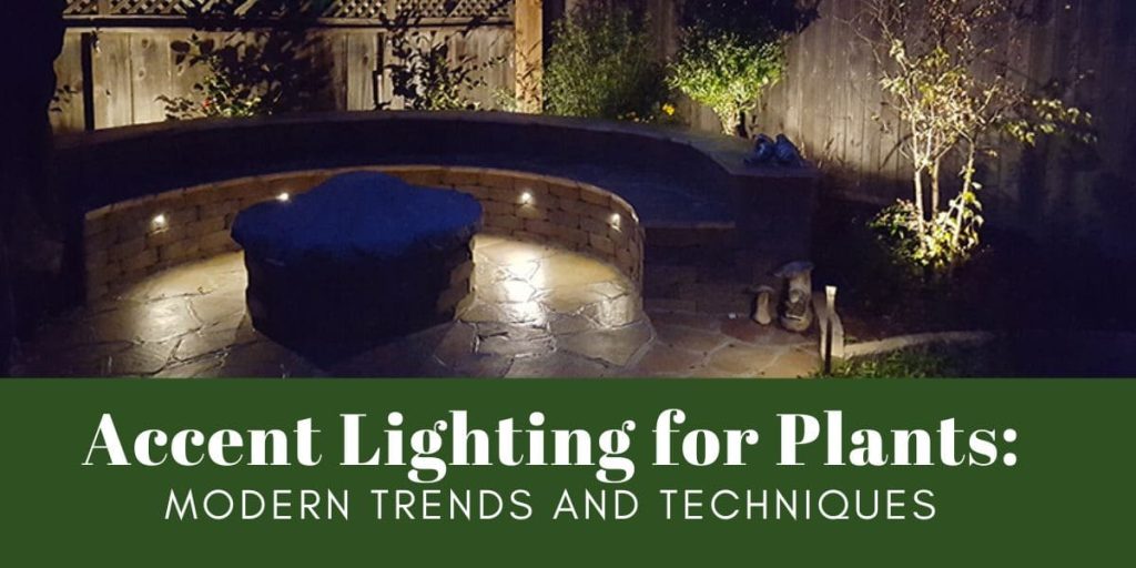 Accent Lighting for Plants_ Modern Trends and Techniques