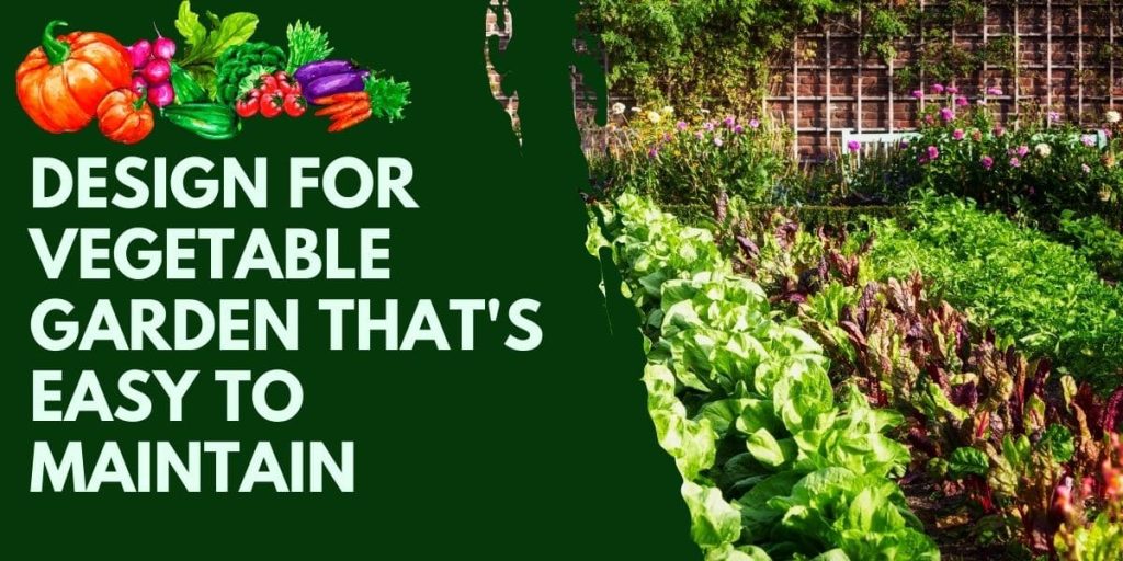 Design for Vegetable Garden that_s Easy to Maintain