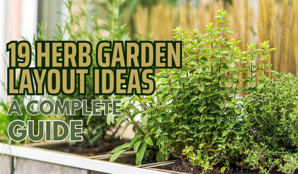 19 Herb Garden Layout Ideas