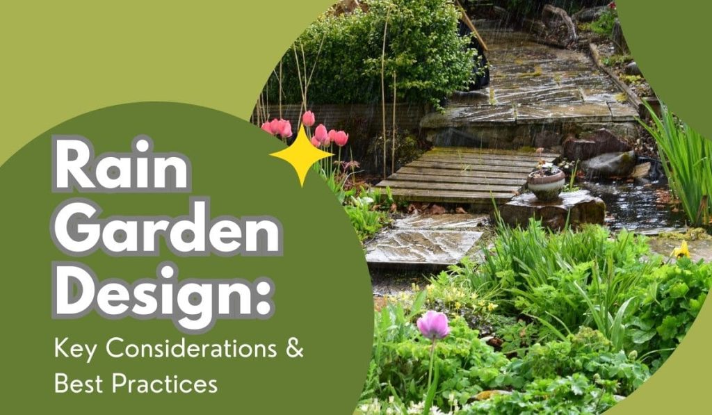 Rain Garden Design