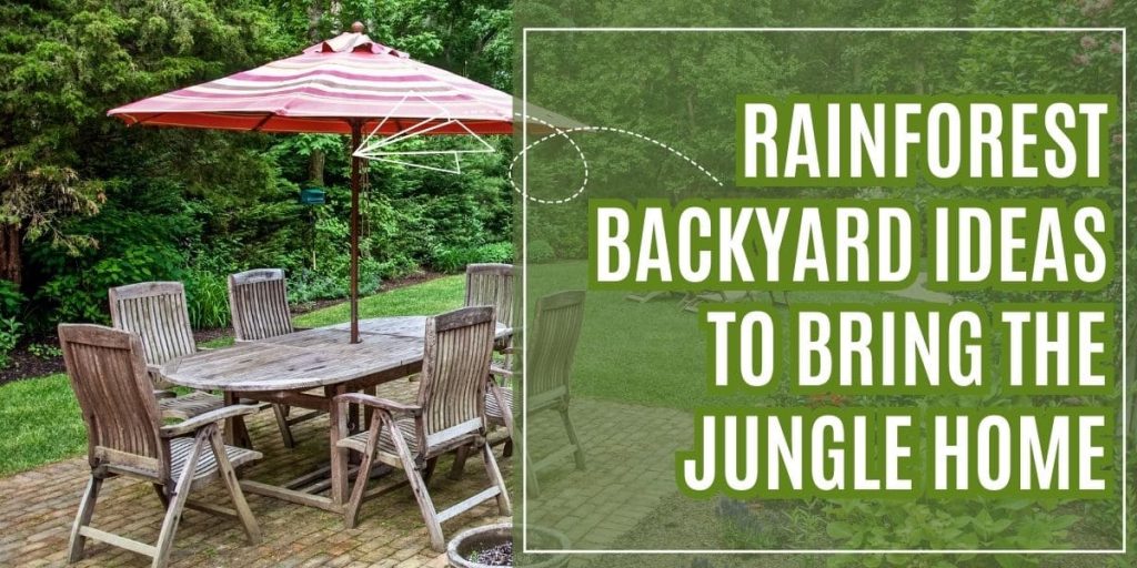 Rainforest Backyard Ideas to Bring the Jungle Home