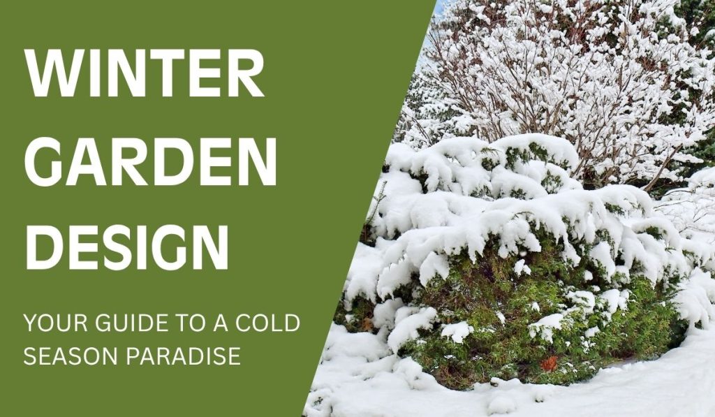 Winter Garden Design