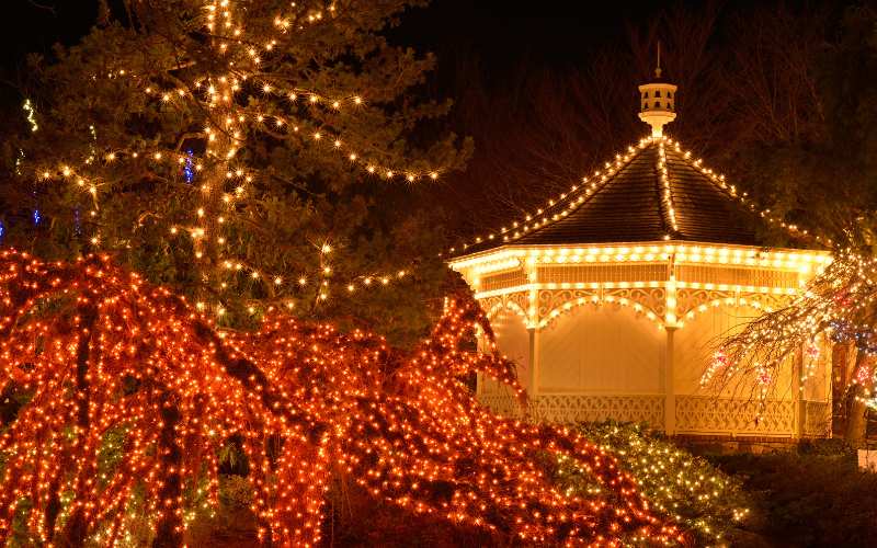 Fairy Lights