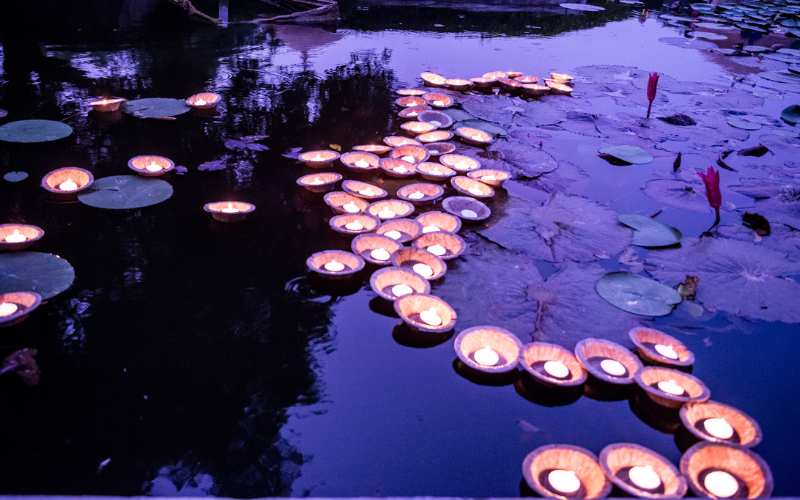 Best Lights for Koi Ponds