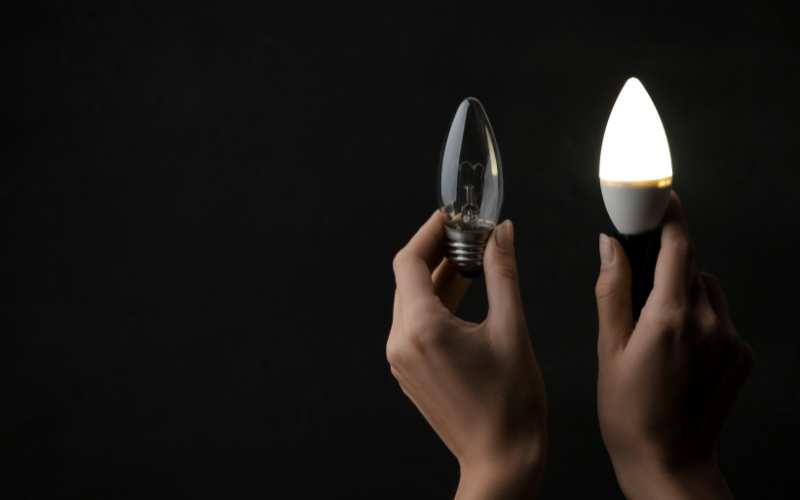 Choosing the Right Bulbs