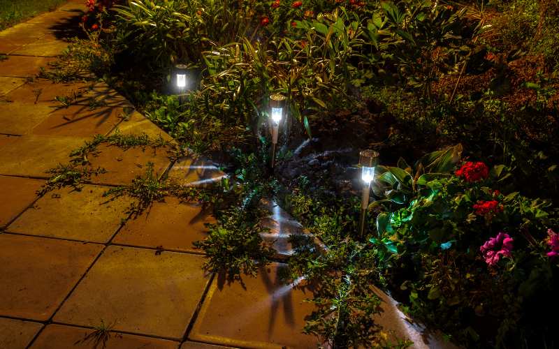 Solar Pathway Lights