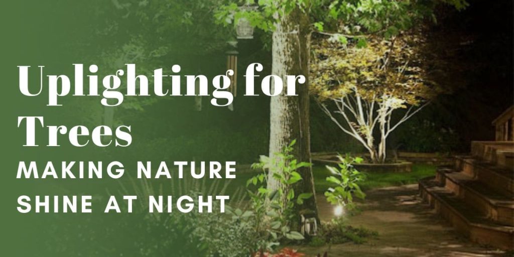 Uplighting for Trees Making Nature Shine at Night